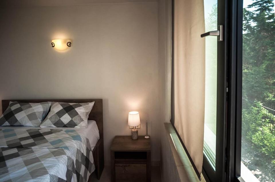 Villa Calypso PalaiónTsiflíkion Εξωτερικό φωτογραφία